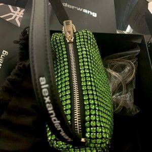 Alexander wang heiress rhinestone bag